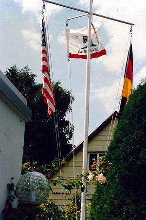 00248_p_14al7q6yx80248